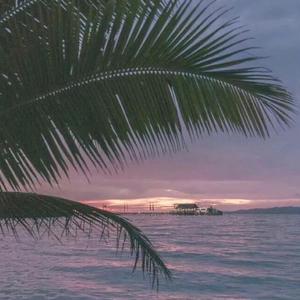 美女内裤被扒被塞住漏水喷浆潮
